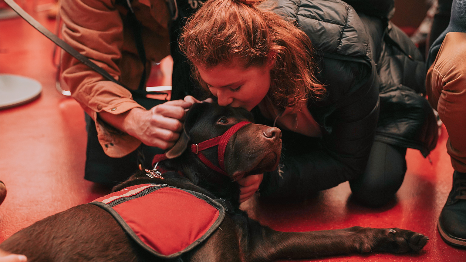 a student kisses a chocolate lab on its head