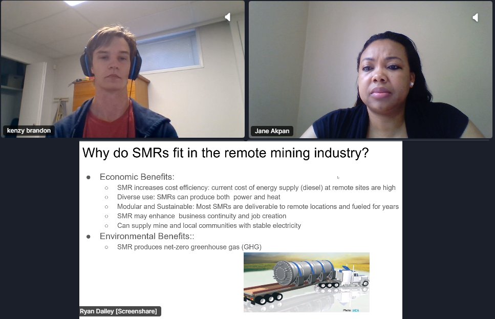A screenshot of an online SMR presentation.