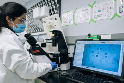 Woman looks at an enlarge microscope image on a computer screen in a lab