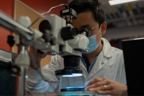 Boyang Zhang looks through a microscope