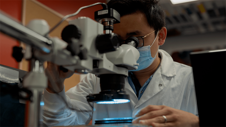 Boyang Zhang looks through a microscope