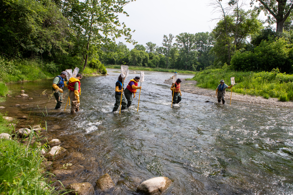 Students cross the river holding nets.