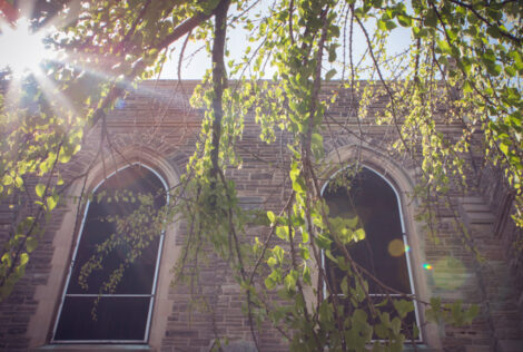 University Hall windows with trees and the sun shining down