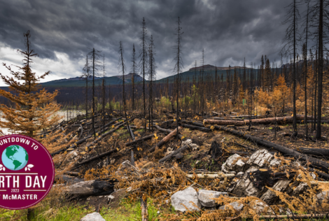 Filter that effectively clears ash, dissolvable debris from water after wildfires identified