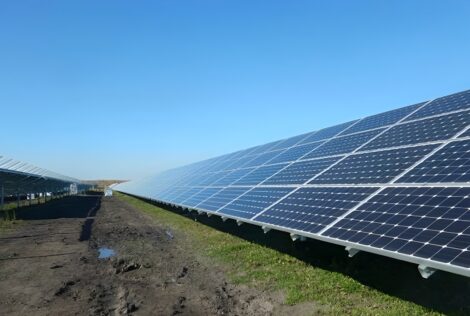 a solar panel farm