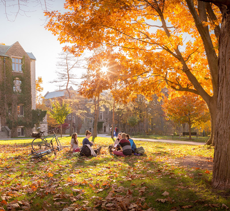 Students sitting on campus amongst the colourful Autumn trees