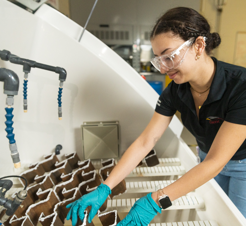 Researcher leaning over a machine with corroded materials inside