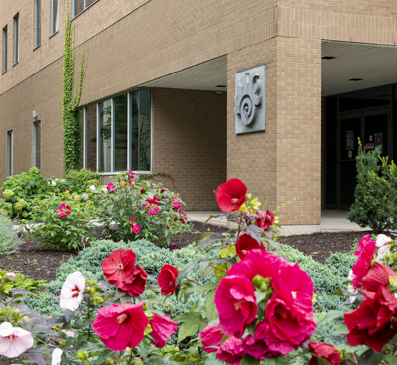 Red and white flowers blooming on campus