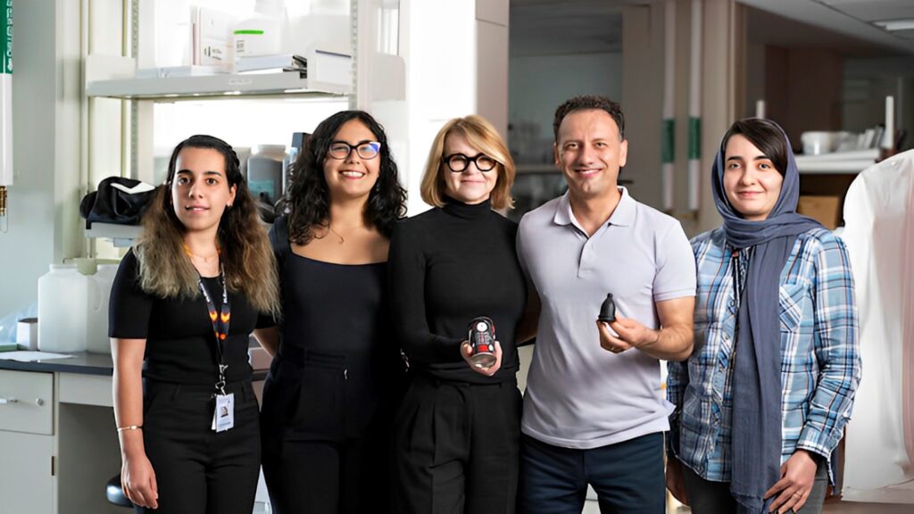 Bfree Cup engineering innovations