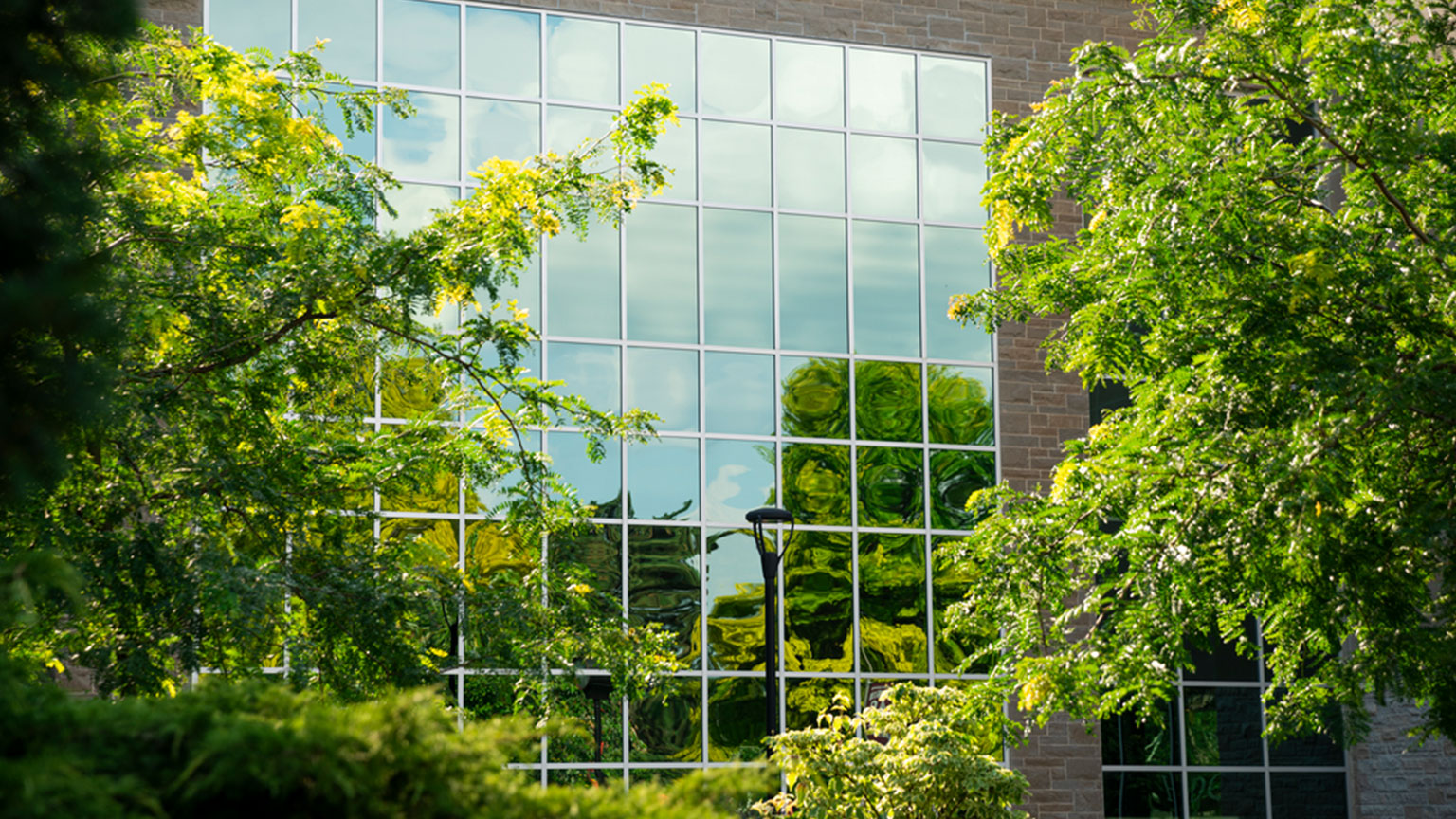 The windows of John Hodgins Engineering Buildings with green trees and a blue sky reflected in them
