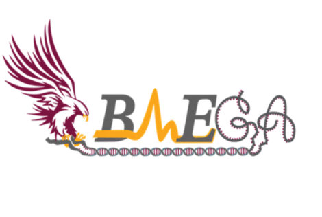 BMEGA logo