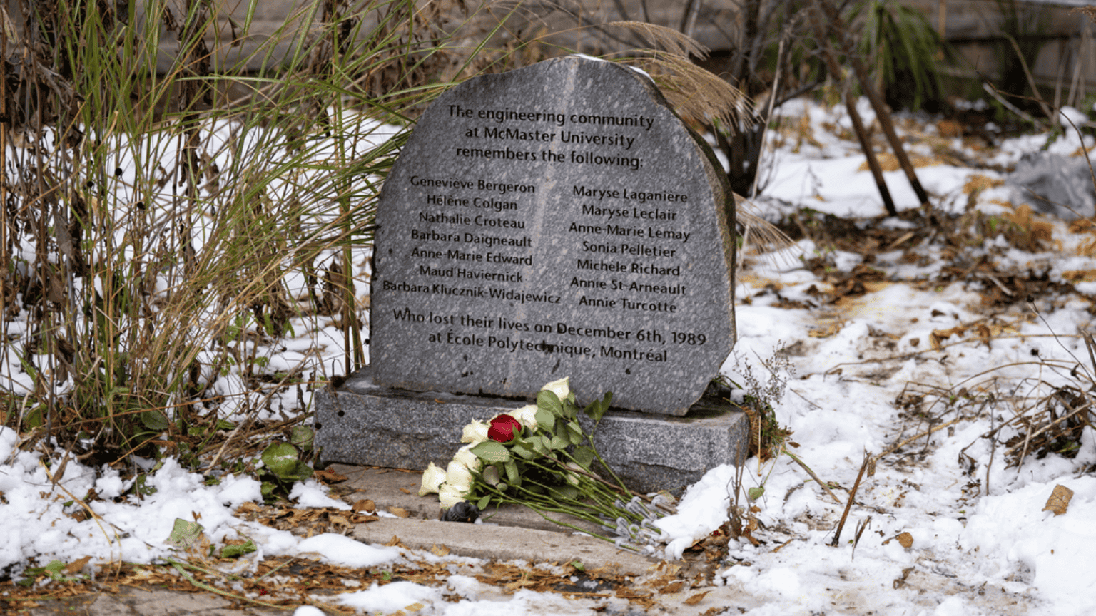 A stone with the names of the women who lost their lives on December 6 with 14 white roses and one red rose placed in front of it