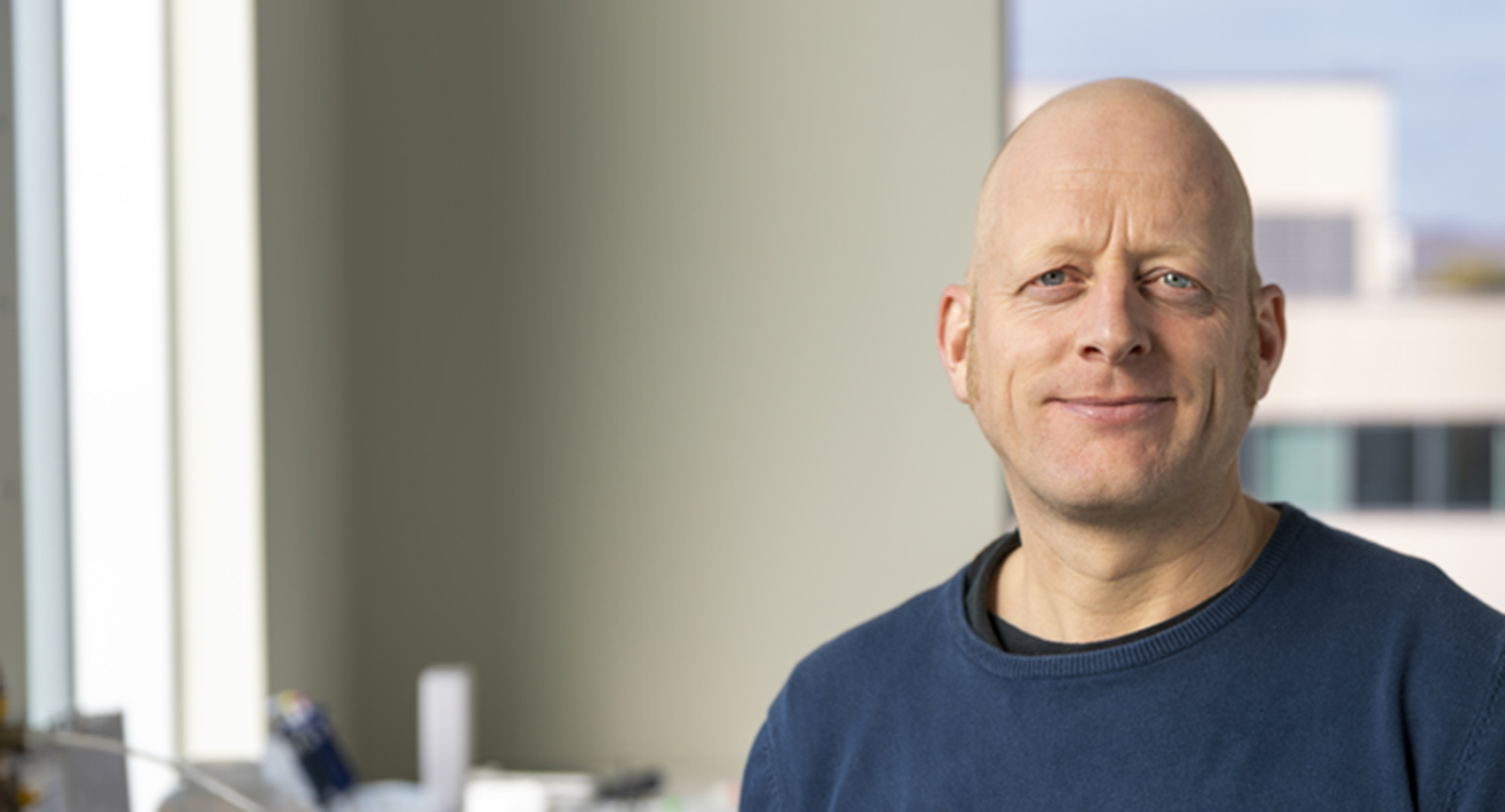 Niko Hildebrandt Lab – Faculty of Engineering