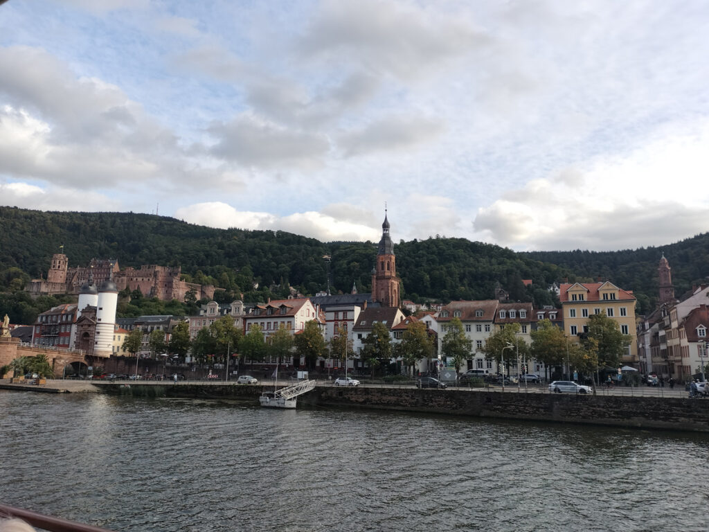 View from the Neckar river boat