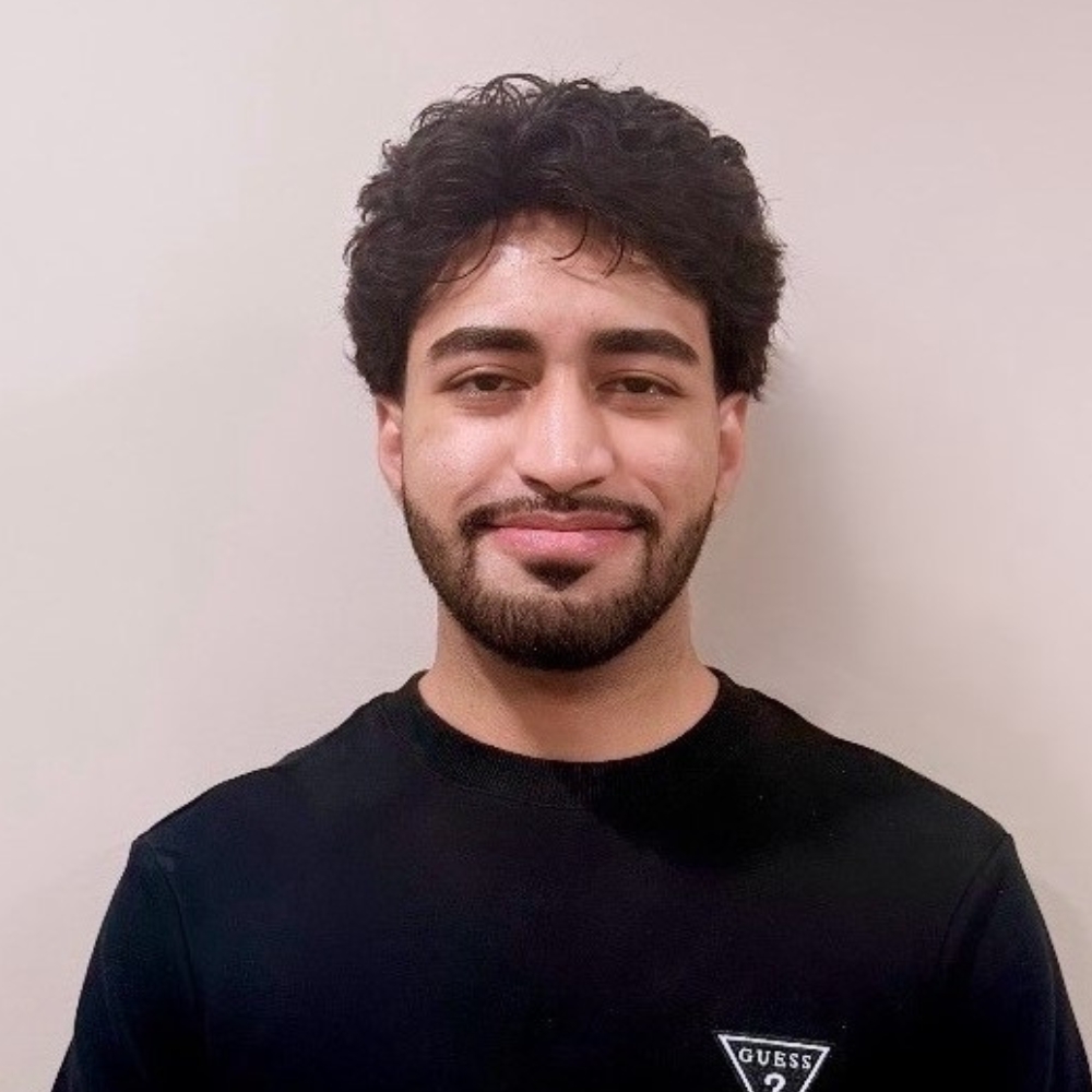 Hamza's portrait