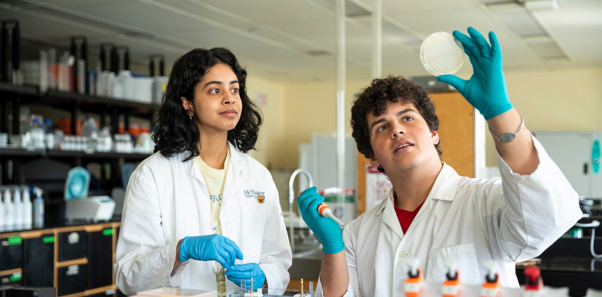 Research Experience Awards – Faculty of Engineering