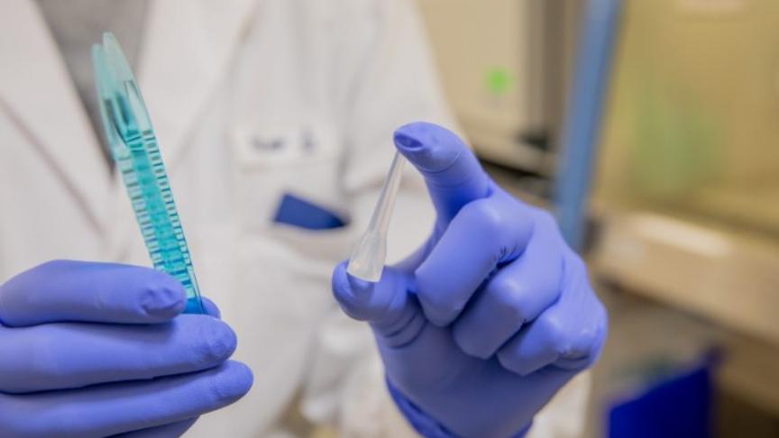 Hamilton virology lab gets a ‘grasp’ on COVID-19 testing