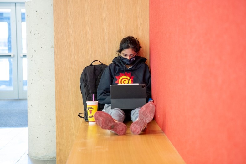 Student wearing fireball sweater sitting at their laptop