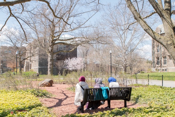 three woman sit on a bench in a garden on McMaster's campus